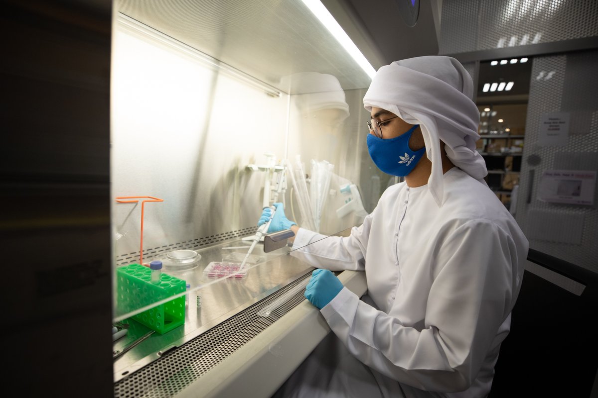 NYUAbuDhabi's tweet photo. Calling all undergrads at NYU NY, NYU Shanghai, and UAE universities!

NYUAD is now accepting applications for its Visiting Summer Undergrad Research Program.

Gain hands-on research experience, contribute to ongoing projects.

Learn More and Apply Now!
https://t.co/ua1TXcJbXj https://t.co/271fhymtDI