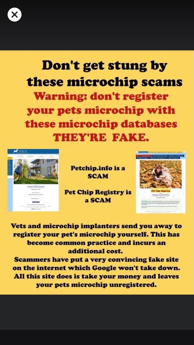 HarlowAnimal's tweet photo. Useful to know. Beware of these websites. Use well known companies and ask your vet if you need to register your pet’s microchip. Not all chips are registered at the time they are implanted #microchippets #CatsOfTwitter #DogsofTwittter https://t.co/YqSWvscH33