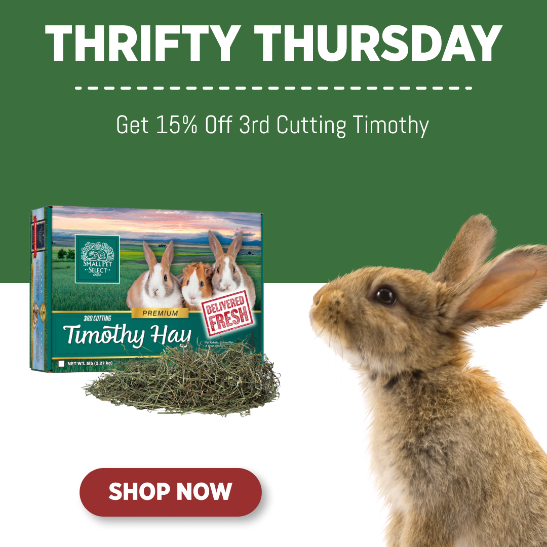 SmallPetSelect's tweet image. For our friends in the UK! 
🇬🇧 Amazing hay 🇬🇧
💰 Happy Thrifty Thursday 💰 

smallpetselect.co.uk/products/thrif… 

#smallpetselect #lovethosesavings #thriftythursday #somanydeals #lovesavingmoney #greatdeals