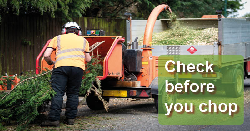 eppingforestdc's tweet photo. Arranging tree works🌳?
Check if your trees are protected - you may need prior permission.
Visit https://t.co/2oHh7AaFoD
#EppingForest #springisintheair #Arborist #Helpandadvice https://t.co/0KMfWJYwzO