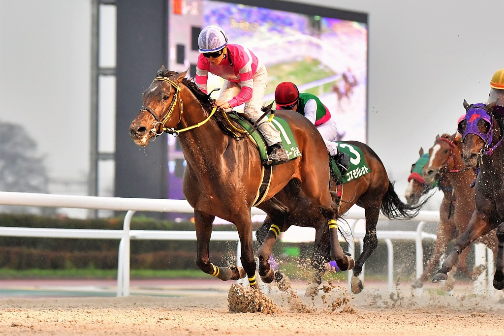 #笠松競馬場 で行われたマーチカップは、2番人気のロッキーブレイヴが優勝。
兵庫から遠征したコスモバレットは4着、テーオーエナジーは最下位9着となりました。

#いつもそばに地方競馬 #PR 
@nar_keiba 