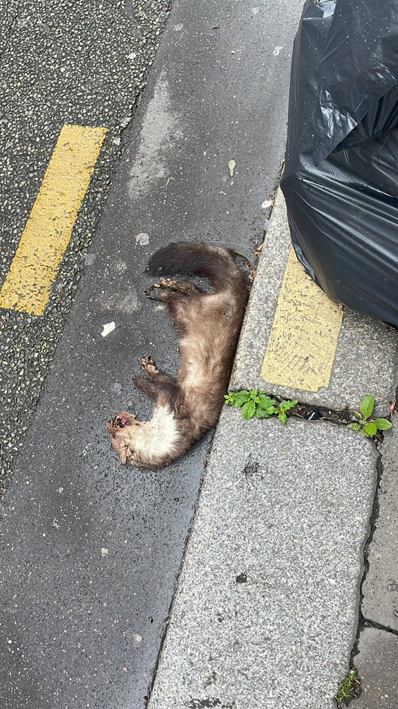 Chère <a href="/Anne_Hidalgo/">Anne Hidalgo</a> On a beau être dans le 16eme, on n’en fera pas pour autant un manteau de fourrure. Est-ce qu’on attend une morsure pour réagir ?
Poke <a href="/fszpiner/">Francis Szpiner</a>