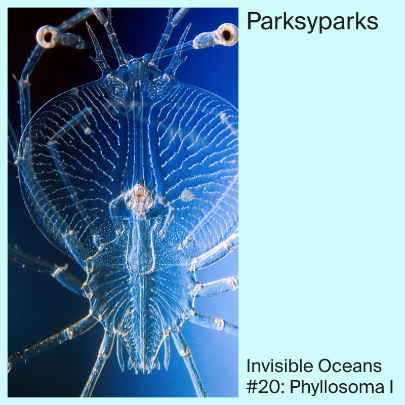 thecurated_app's tweet photo. "Phyllosoma I” by @parksyparks is part of Joey Holder's (@joeyeholder) Curator’s Choice "Cryptozoology".

#nft #multimediaart #nftartist #nfts #digitalart #nftartgallery #cryptid #thecuratedapp #artcuration #cryptidcore #cryptozoology #nftartwork #nftartwork #zoology