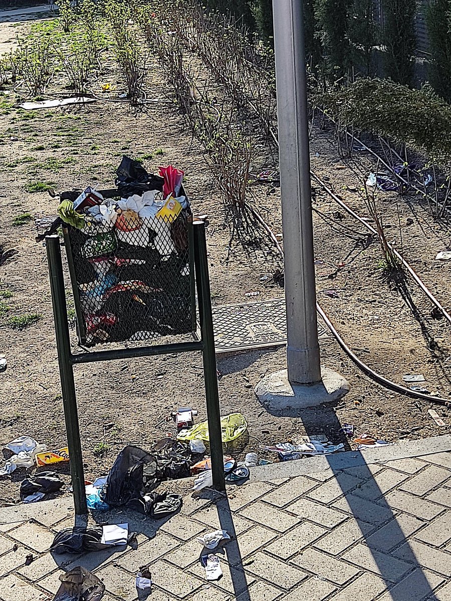 Maria Gallego tweet media