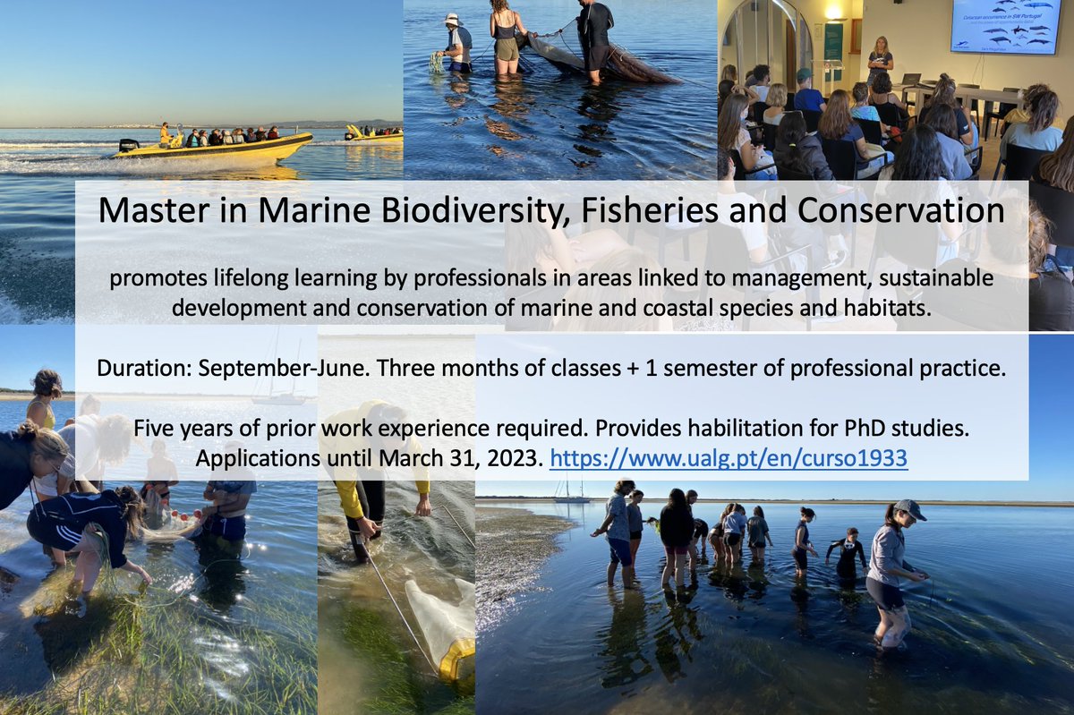 Ester Serrao tweet media