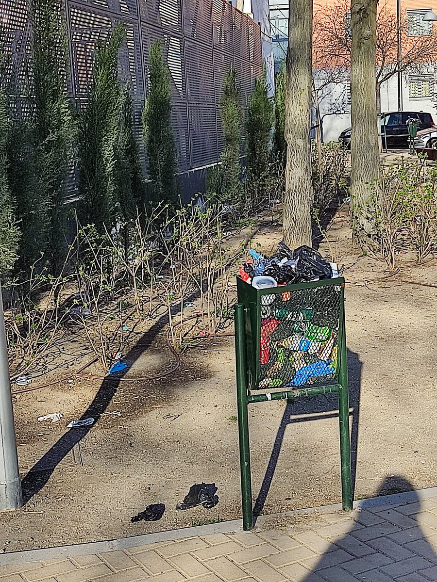 Maria Gallego tweet media