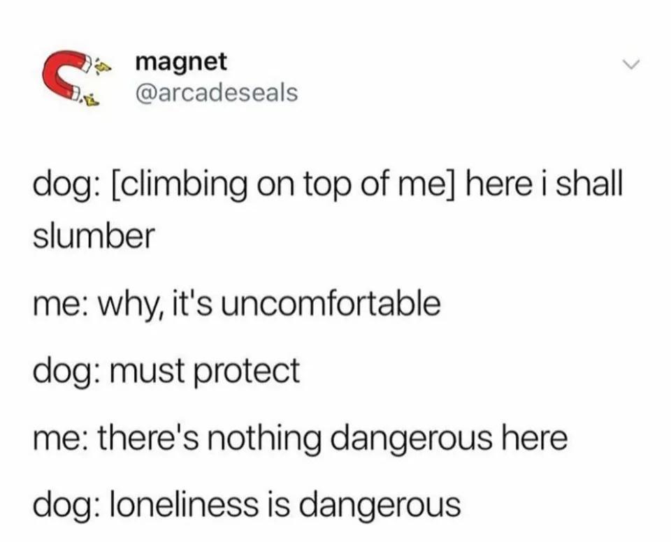 WholesomeMeme's tweet image. Original tweet by Arcade Seals @arcadeseals