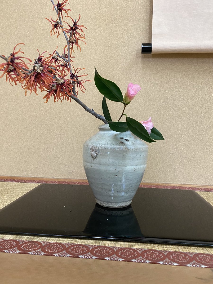 shatyou11's tweet photo. #裏千家
#内藤陶器店

2023.03.08よりお茶のお稽古始めました。
3月の掛け軸は『柳緑花紅』柳は緑に、花はあかく色づき始める今の季節を感じるお言葉。
8日の初回の茶花は、『侘助椿(わびすけつばき)』
22日の茶花は、『菜の花とヤブツバキ』
お花と共に、日中かなり暑い日も増えてますね♬ https://t.co/gbr6TubrWX