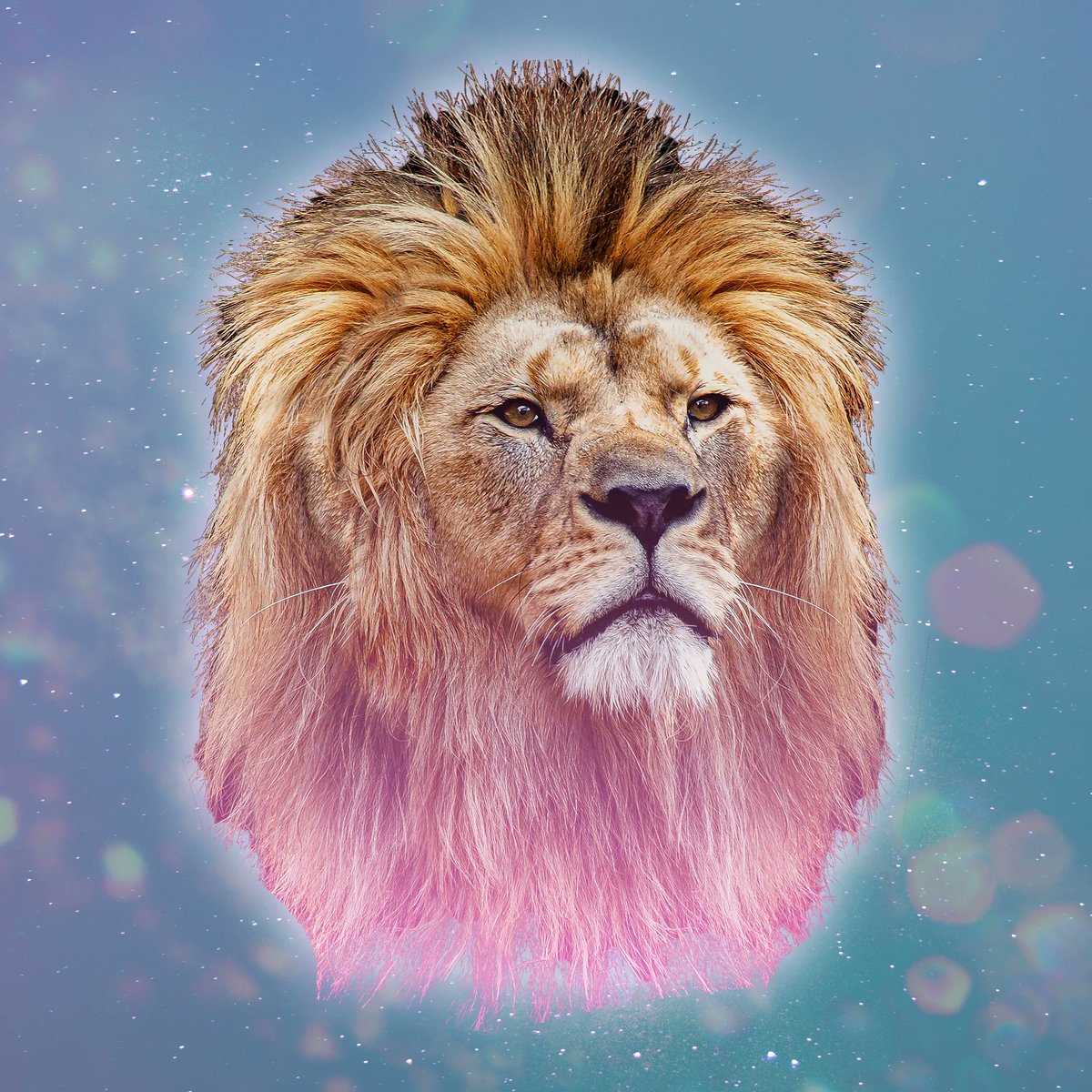 AlbaSalcedoCald's tweet photo. @armandoaraiza #MiSigno es Leo🦁... https://t.co/0do6HdZHfN