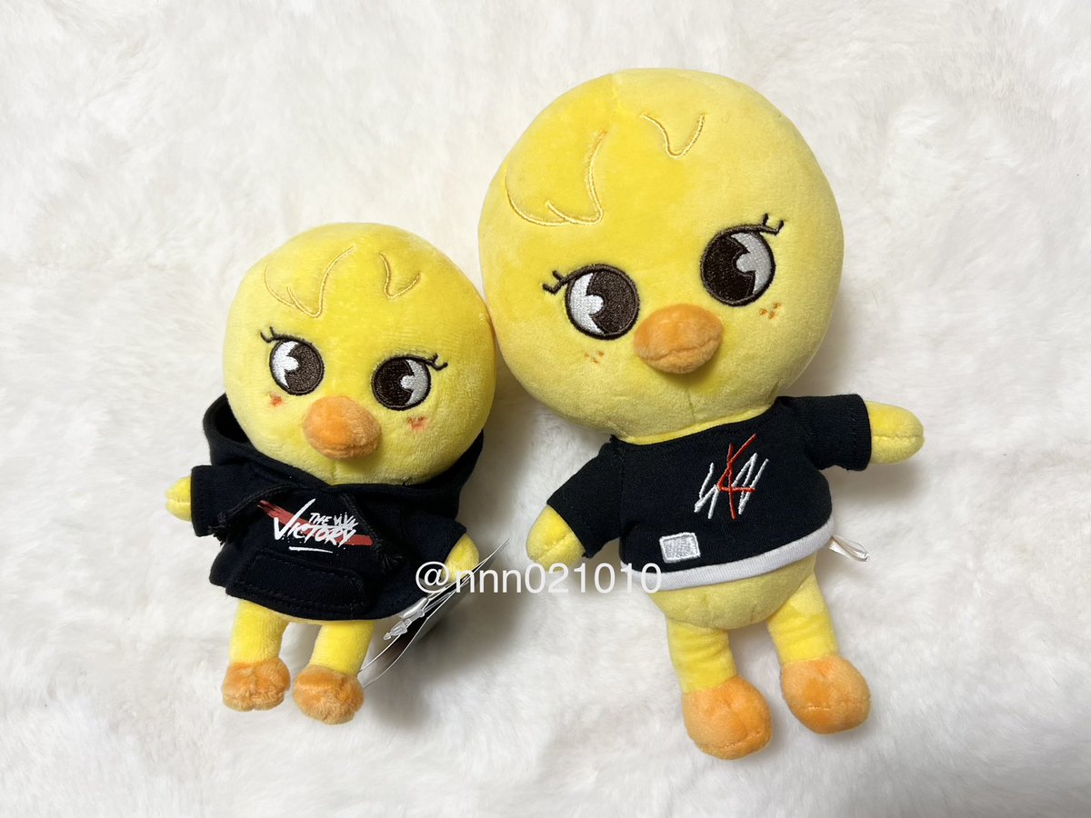 nnn021010's tweet photo. ミニぬい届いた〜🐥💙 https://t.co/JjAOflvIOI