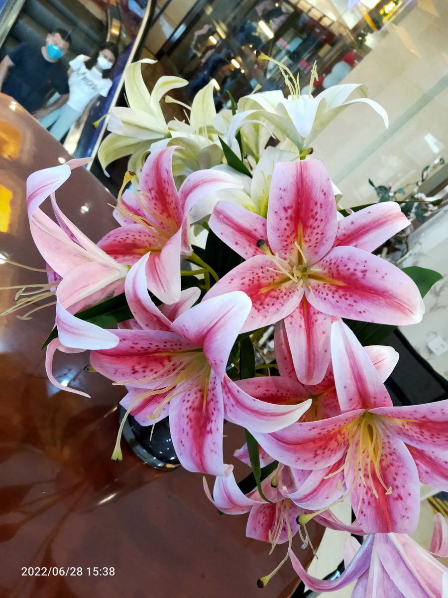 春风如约而至，一定会吹暖每一个角落ヾ(≧▽≦*)o