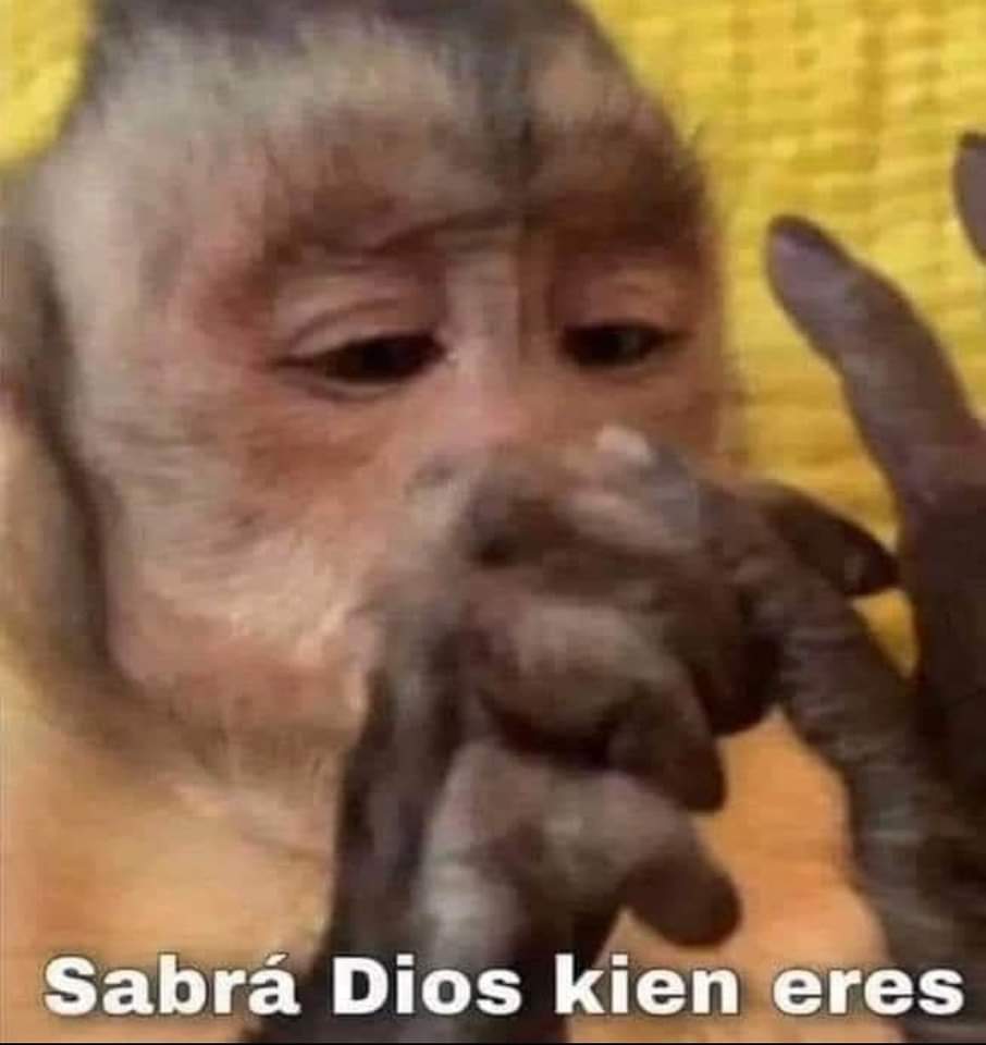 untoqueofi's tweet photo. Mi novio me dice mi amor frente a los morros sabr0sos

Yo: https://t.co/kbLx1a9kYT