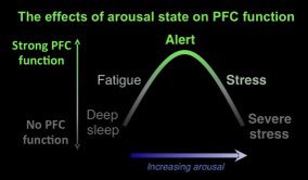 MoMIGSMD's tweet photo. @rcheekmed @CallMeDrBlair It will be tough but you’re already resilient having worked hard to become a physician. I wish I understood physician stress &amp; how to manage it before residency. I recommend reading 👇🏾

Physician Distress and Burnout: The Neurobiological Perspective

https://t.co/nUTYBxwgS0 https://t.co/PyejSfObIE