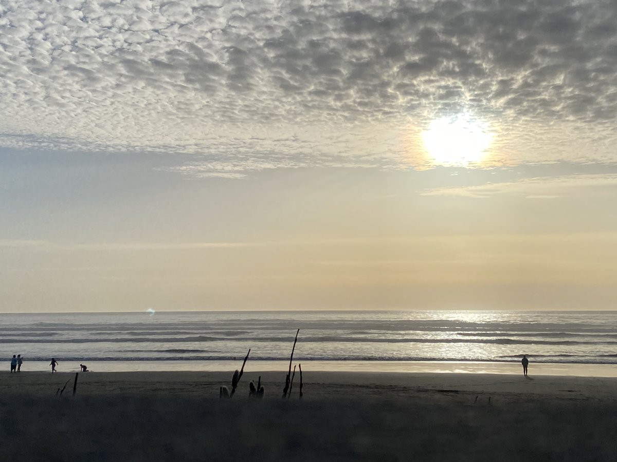 TolovanaInn's tweet photo. The gentle sounds of the ocean will soothe your mind and your soul… https://t.co/H6yqVeijoT https://t.co/SMTDSJlM6f
