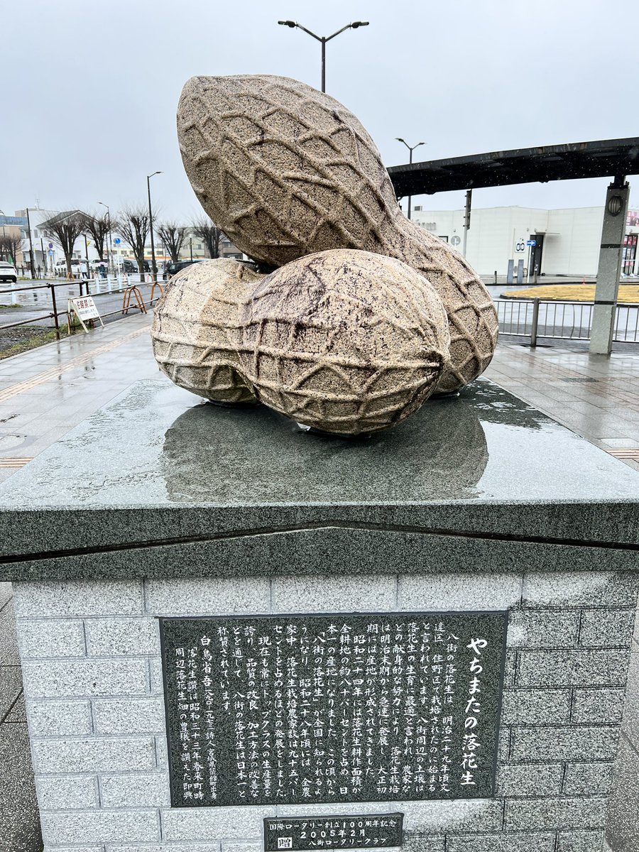 kazzzsan's tweet photo. ぴー夏がいっぱいのあのスターとピーナッツを食べまくる旅をして以来の八街。 https://t.co/8qzygIMhHR