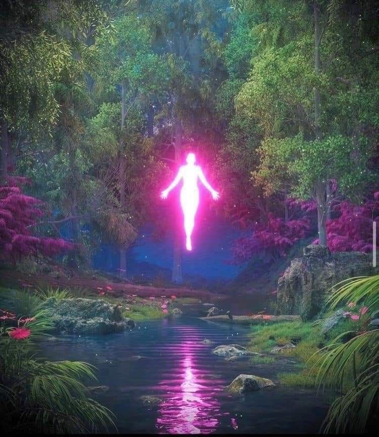 aimarlettOS🦂▪️ tweet media