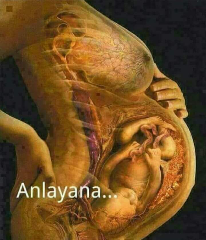 O, dokuz ay boyunca seni karnında işte bu şekilde taşıdı.
Mide bulantısı çekti ve sürekli kendini hasta hissetti.
Ayakları şişti, vücudu ödem yaptı, derisi gerildi.
Sen karnındayken en basit işlere bile nefesi yetmez haldeydi..
Çünkü nefesini seninle paylaşıyordu..