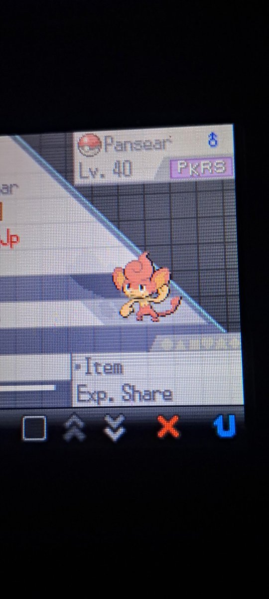 lJorgePsl's tweet image. What? my pokemon team has a pokerus. This is new to me, I played pokemon (1,2,3,4,9 gen) and this never happened to me 🤯 #pokerus #PKRS #Pokemon