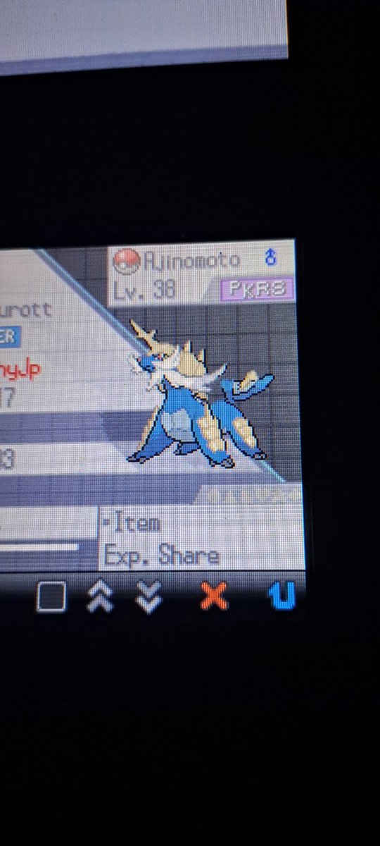 lJorgePsl's tweet image. What? my pokemon team has a pokerus. This is new to me, I played pokemon (1,2,3,4,9 gen) and this never happened to me 🤯 #pokerus #PKRS #Pokemon