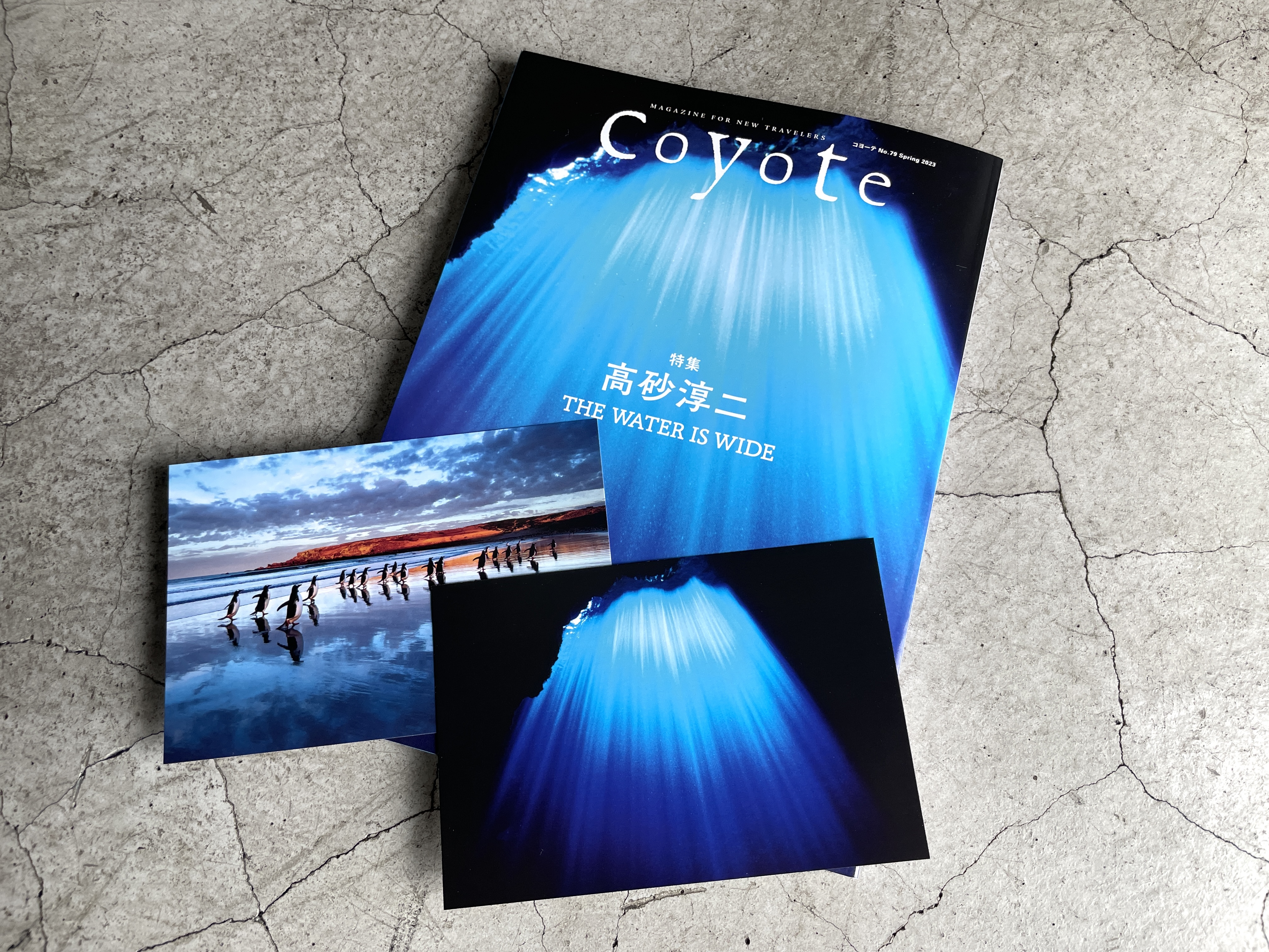 桜 印 [セット] 雑誌 Coyote 46冊 NO.1〜NO.49(欠9.12.47) | www