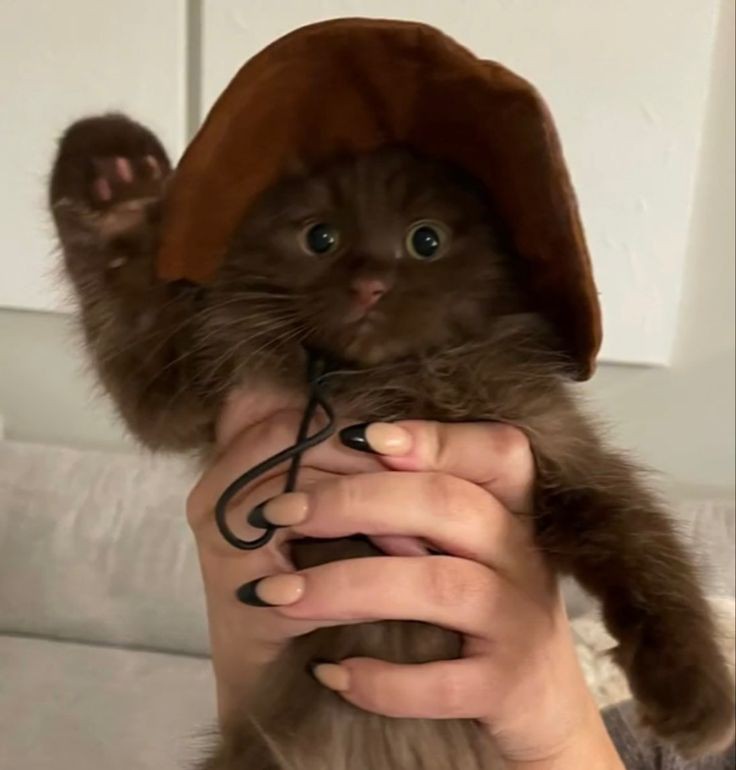 lola (@lola19803789) on Twitter photo 