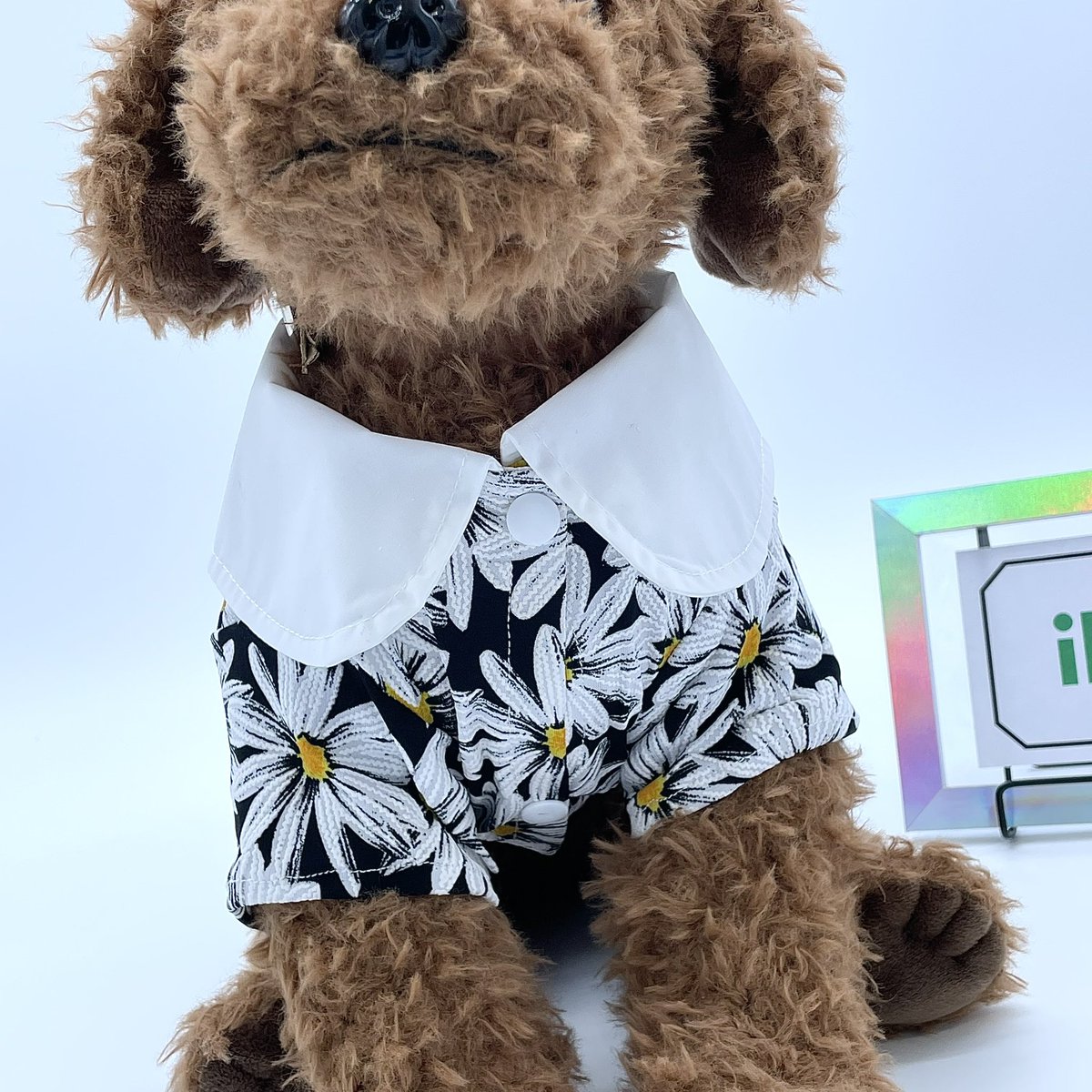 ilioshop's tweet photo. 水色のお花ワッペンがかわいいブラウス！！
黒地に白い花柄が映える！！春にも夏にもぴったりなお洋服☆

ilio Shop→ https://t.co/YUvfjqWHYO

＃ドッグウェア ＃犬服 ＃猫服 ＃ペット服 ＃ペット用品 ＃かわいい ＃可愛い ＃カッコイイ ＃夏 ＃春 ＃小型犬 ＃中型犬 ＃ブラウス ＃ワンピース https://t.co/zeqnyFewxP