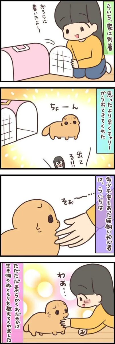 今日からうちのコだよ? 初めて我が家にやってきた日【連載】もふもふスコたん#268|ねこのきもちWEB MAGAZINE https://t.co/s9MUXfs7GC 