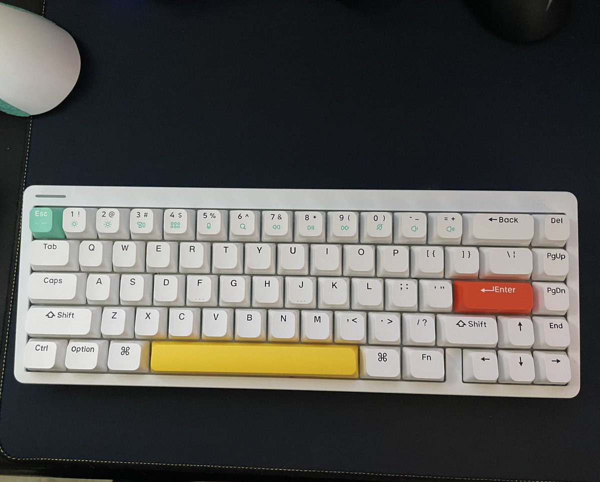 NerovrHD's tweet photo. My new all white keyboard with baby kangoroo switches #nuphy #halo65 #65percent #65percentkeyboard https://t.co/3U6wVxq6QT