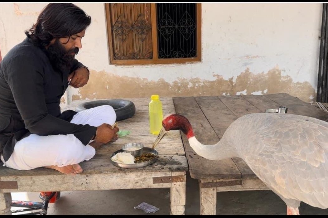 <a href="/yadavakhilesh/">Akhilesh Yadav</a> जिसका परिवार ही ना हो वह क्या किसी  बेजुबान की भावना को समझेगा। 

ढोंगी बाबा जी 

#जय_और_तय_समाजवादी🇧🇾🚲🇧🇾 
#जय_और_तय_अखिलेश🇧🇾🚲🇧🇾