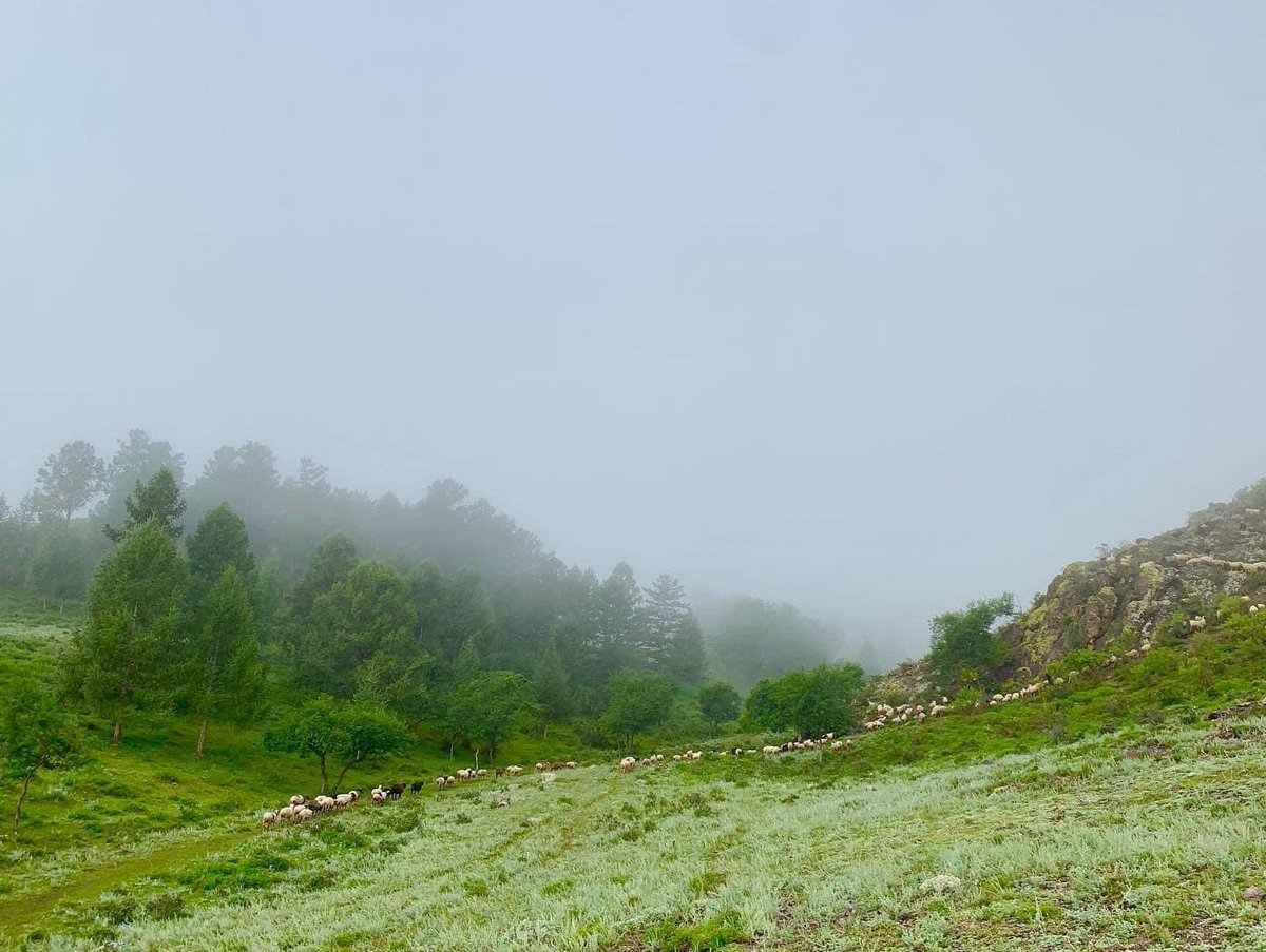 Найзууд хөдөө амьдрах тухай бодоод л байна уу? Энэ зун манайд ирээд 7 хоноод үз. Эртхэн очероо бичүүлээд давхацахгүйгээр цагаа авна биз дээ. Амрагчдыг авахгүй, яг хөдөөд, тэр дундаа Хантайг сонирхож байгаа хүмүүсийг л гэр бүлээр нь хүлээж авна.

#ХөдөөнийХүүхэн  #ХөдөөАмьдарцгаая