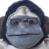 Creeperking2271's tweet photo. #NewProfilePic https://t.co/pypjKZOL4n