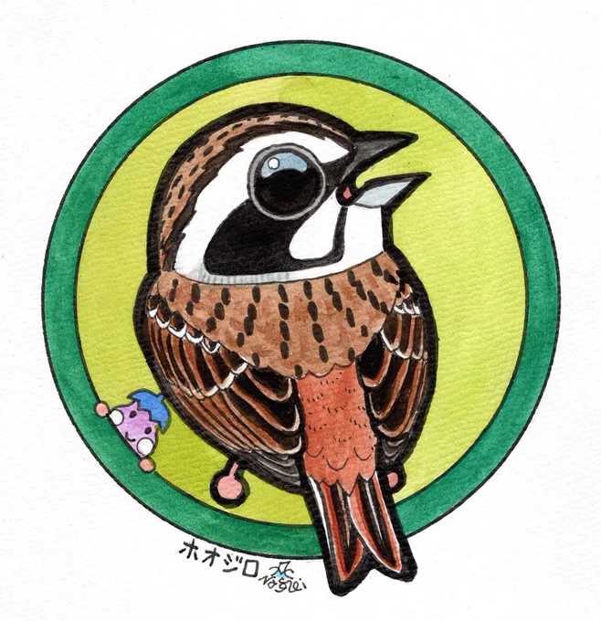 「缶バッジの鳥たち」シリーズ、またまた絵にすることが少なかったホオジロです。 