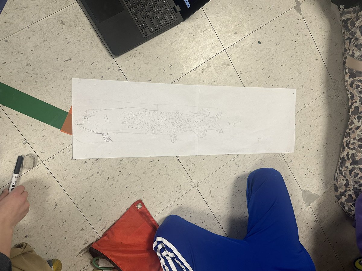 BPSHawks3's tweet photo. Using our measurement skills to draw the life size characters from our ongoing read alouds this year, The Wild Robot and its sequel The Wild Robot Escapes #BPSHawks3 #BPSHawks https://t.co/uRSCyadR9j