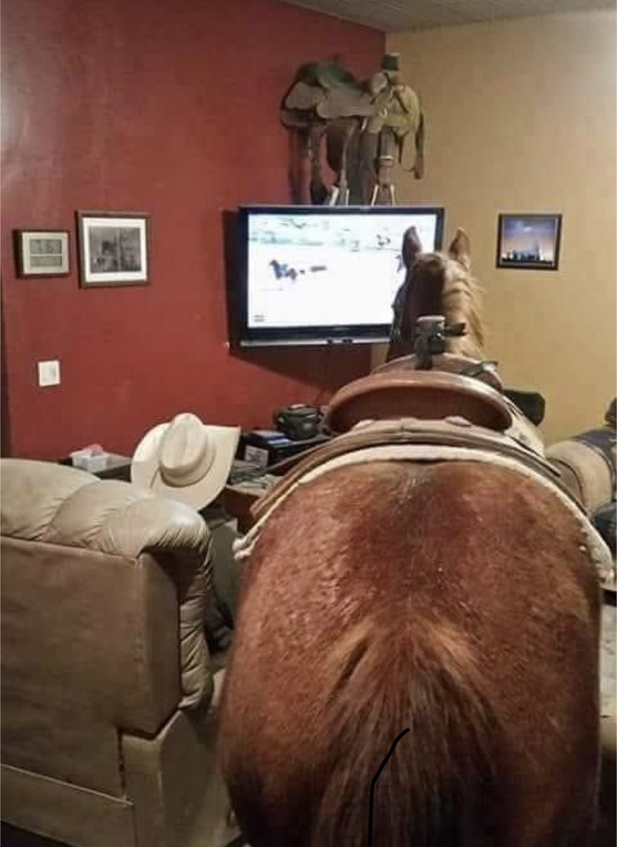 KahnWaaya's tweet photo. Meanwhile in my house watching @PBR https://t.co/AFWUx8mxYK