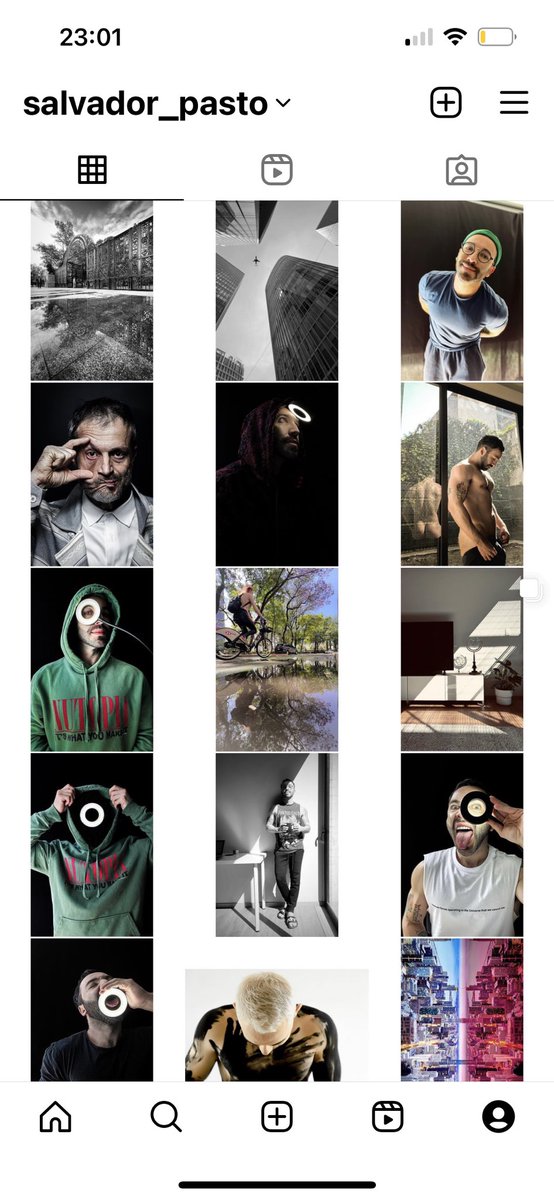 pasto ➰ tweet media