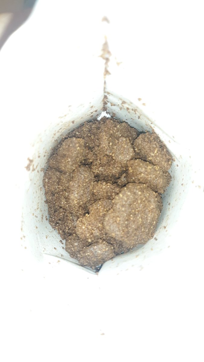 Race ۗۗۗۗۗۗۗۗۗۗۗۗۗۗۗۗۗۗۗۗۗۗۗۗۗۗۗۗۗۗۗۗۗۗۗۗۗۗۗۗۗ tweet media