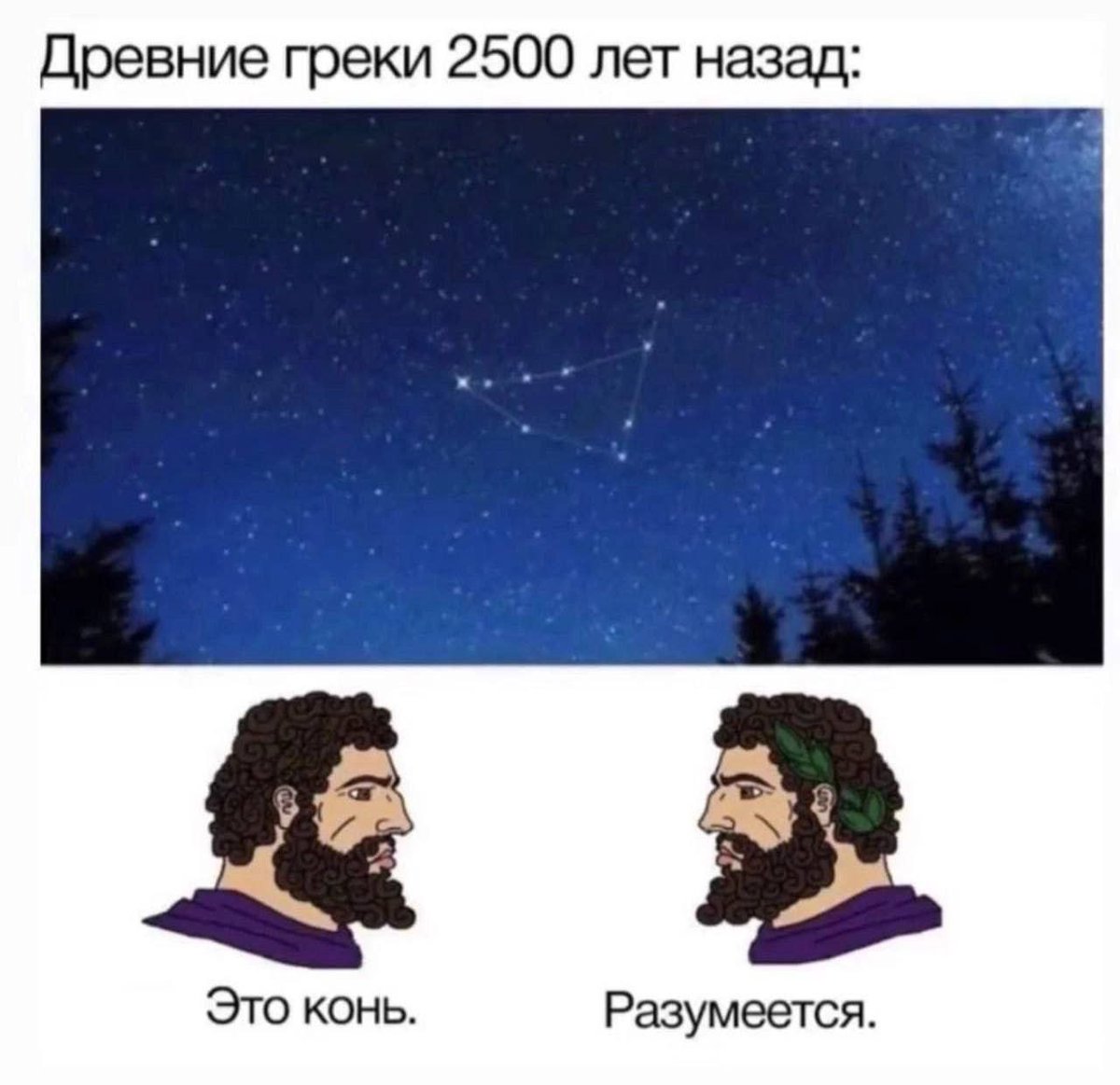 Gribanov ☢ ᓚᘏᗢ (@gribanov) on Twitter photo 