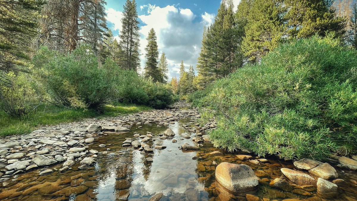 vonfogel's tweet photo. Most of the photo I take are landscapes without anyone in them, so it was hard to pick one! https://t.co/2znrBiKl9C