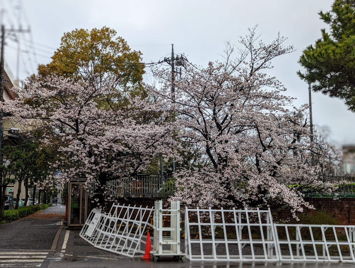 東京拘置所🌸