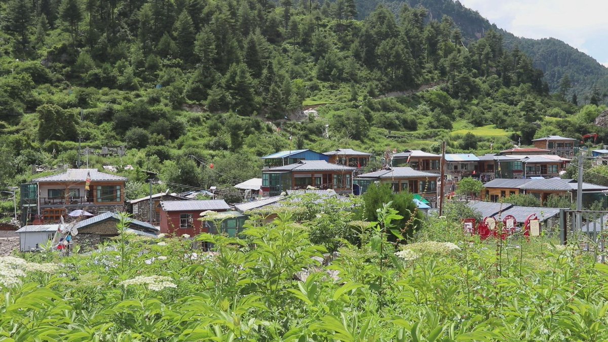 TibetNews11's tweet image. Nel 2022, la contea di Jilong, la città di Shigatse adeguerà la sua struttura e promuoverà la trasformazione, formando una #struttura industriale multipolare