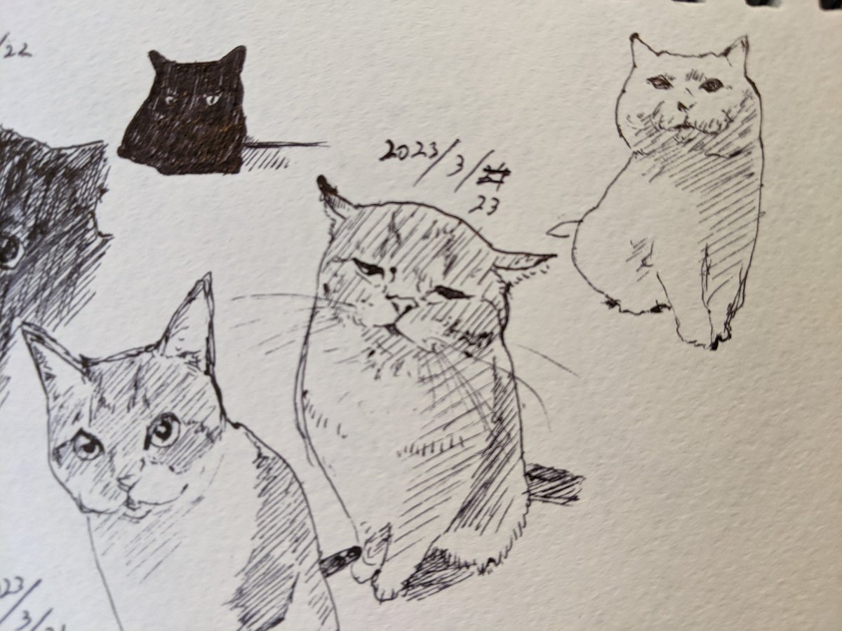 やっぱり昨日は職場で世界野球大会観ていた記憶しかない 日本優勝だあああ! カキカキ。 