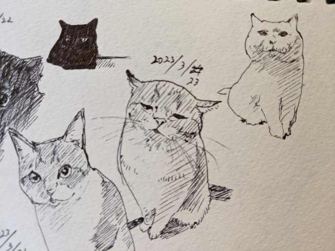 やっぱり昨日は職場で世界野球大会観ていた記憶しかない 日本優勝だあああ! カキカキ。 