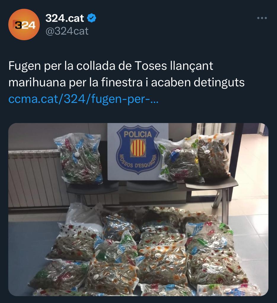 Un petit imprevist d'última hora complica la participació al competitiu d'alguns membres del clan ... són molt naturistes i han llegit que  a la Collada de Toses recentment s'hi pot trobar força vegetació medicinal.
Com qui va a buscar bolets!