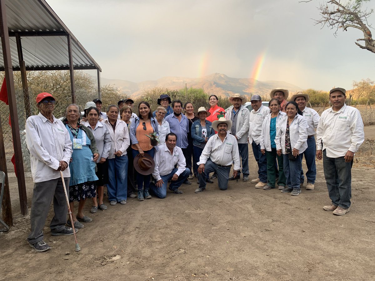 AlejLopezRod's tweet photo. Con esto contribuyen a la conservación de la Reserva de la Biósfera de Tehuacán-Cuicatlán. 

Lo más importante: se le da una nueva esperanza a una colectiva de personas adultas mayores que se ha dedicado a sembrar toda su vida y tienen profundo amor por su territorio. https://t.co/kaaTVUEXRM