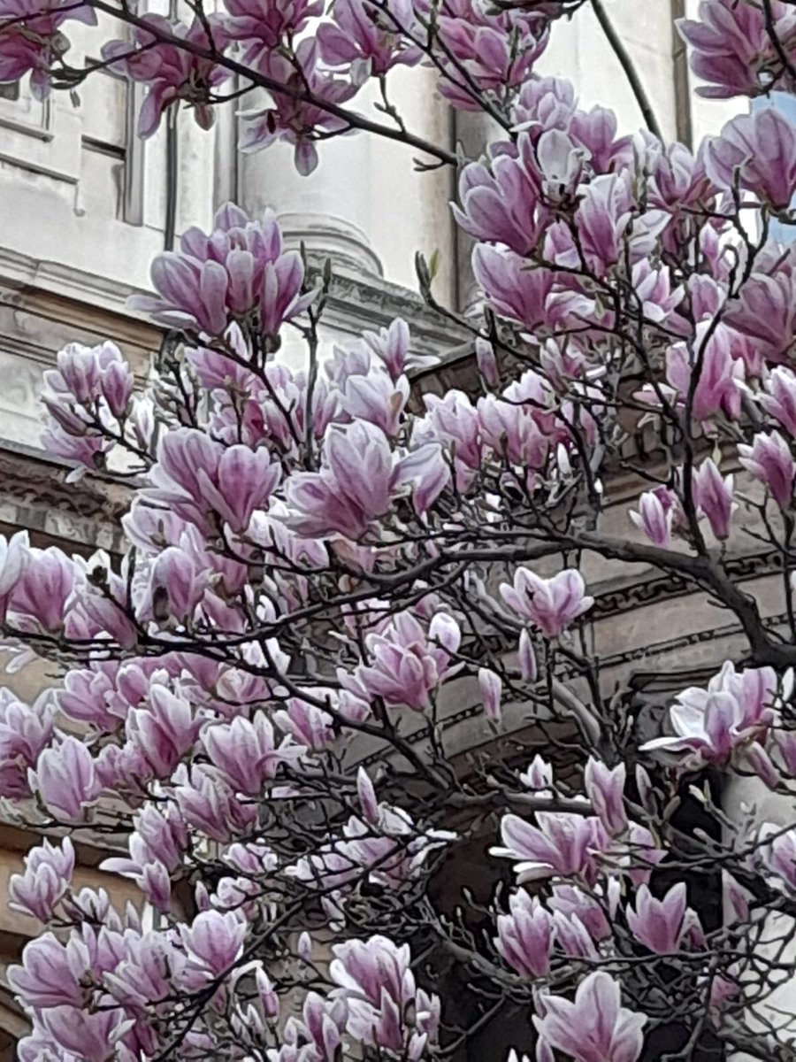 Louise Loxton tweet media