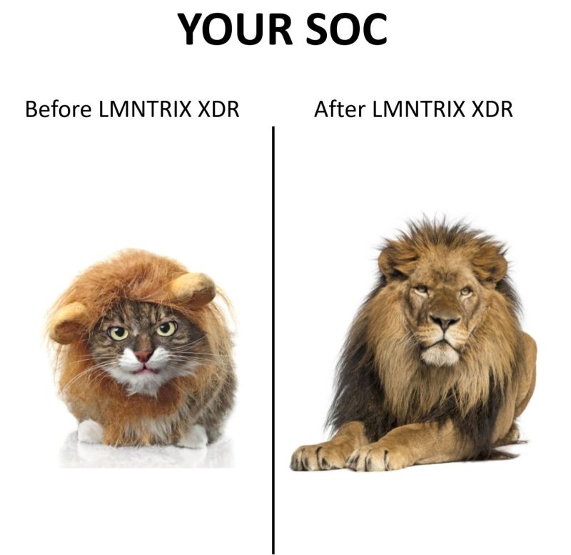 Adversaries never take a break which means neither do you. You probably spend too much time managing siloed tools, chasing false positives resulting in alert fatigue.

Request a personal demo of the LMNTRIX XDR at  lmntrix.com/demo/
 
#LMNTRIX #MDR #XDR
