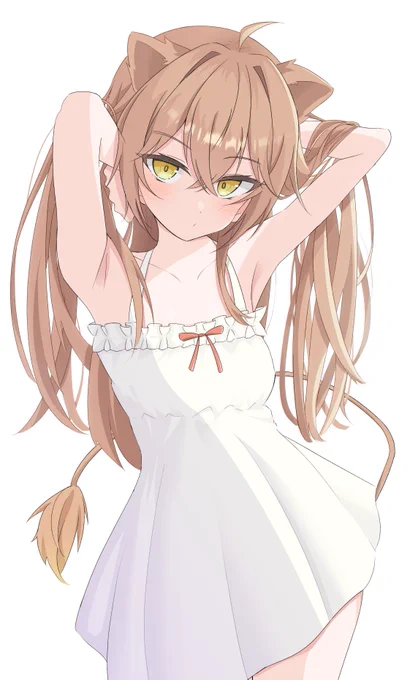 #るるどらいおん  