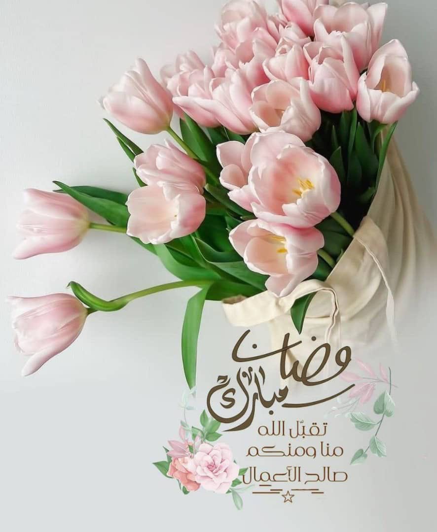 nooralayan31's tweet photo. https://t.co/IiP740jHVw