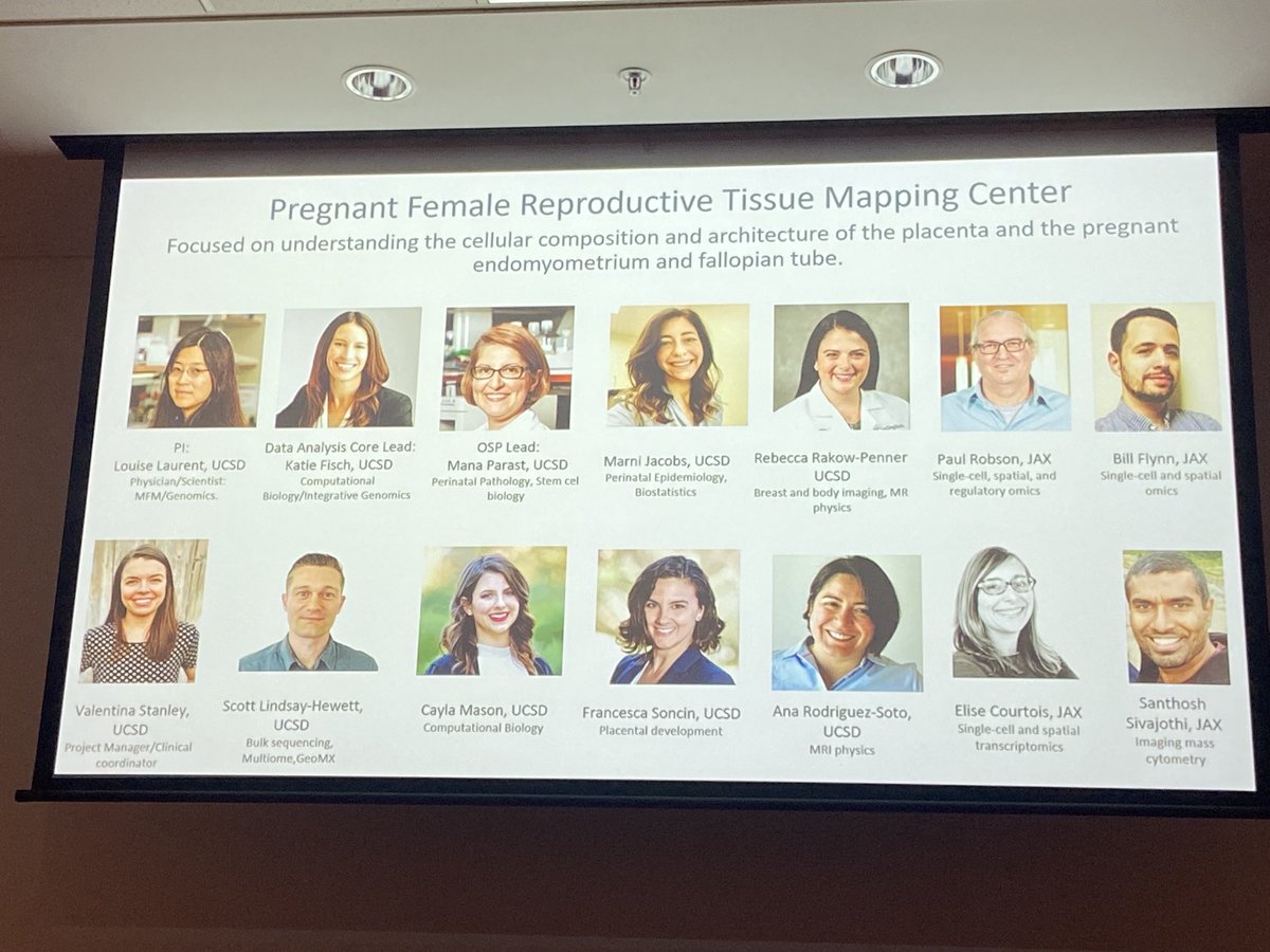 Cynthia Gyamfi, MD, MS tweet media