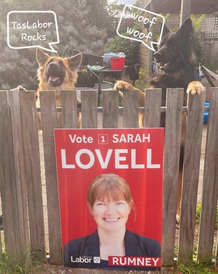 The Voters-4-Rumney have spoken!
Vote 1 @SarahLovellMLC 
FOR ALL TASMANIANS
May 6th 
#politas #auspol #Rumney #auspol2023 #dogsofaustralia #dogsfordemocracy